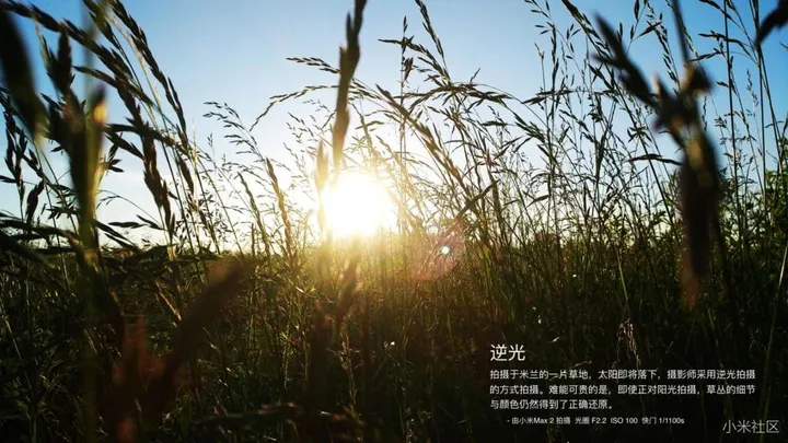 mi max 2 camera sample 02