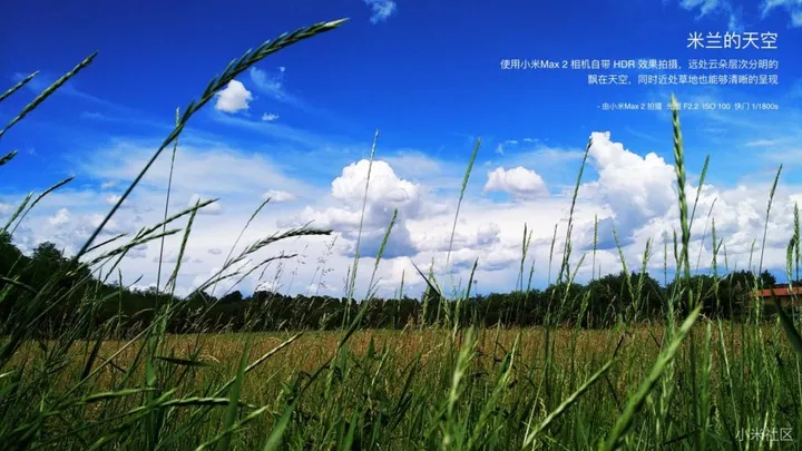 mi max 2 camera sample