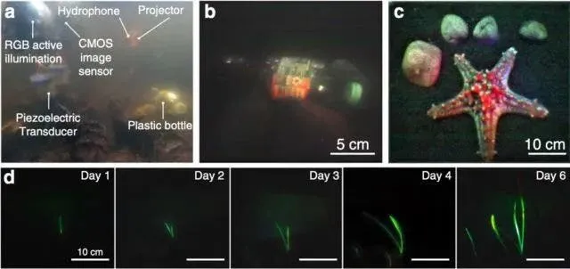 mit underwater camera d