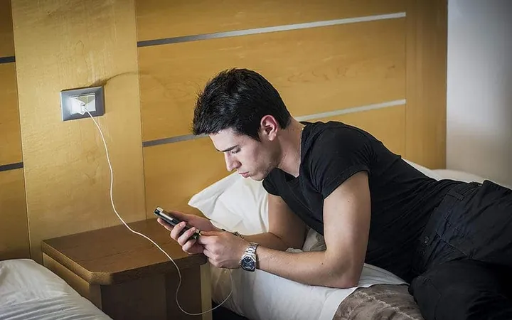 mobile phone battery