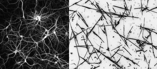 nanowire