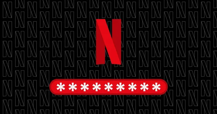 neflix password