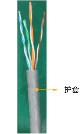 network cable d