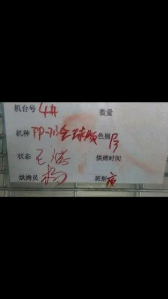 nokia five cameras c