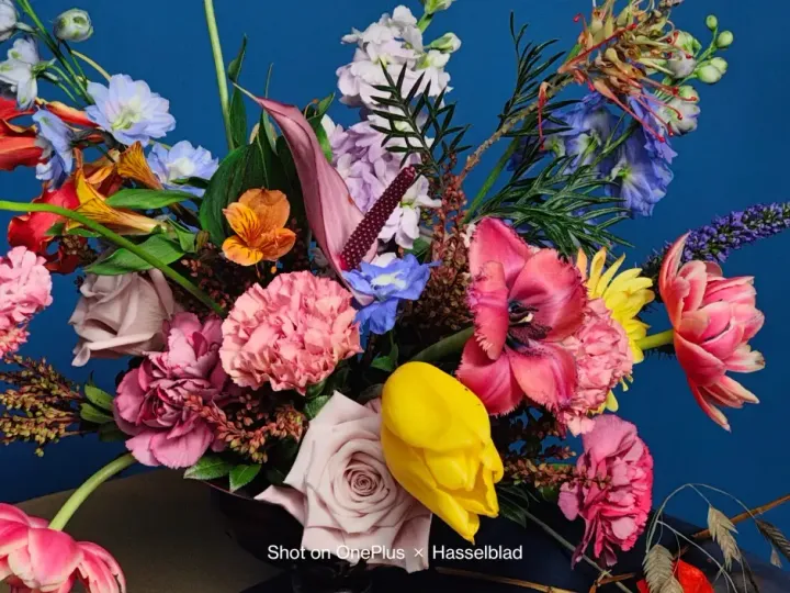 oneplus 10 pro photo 1