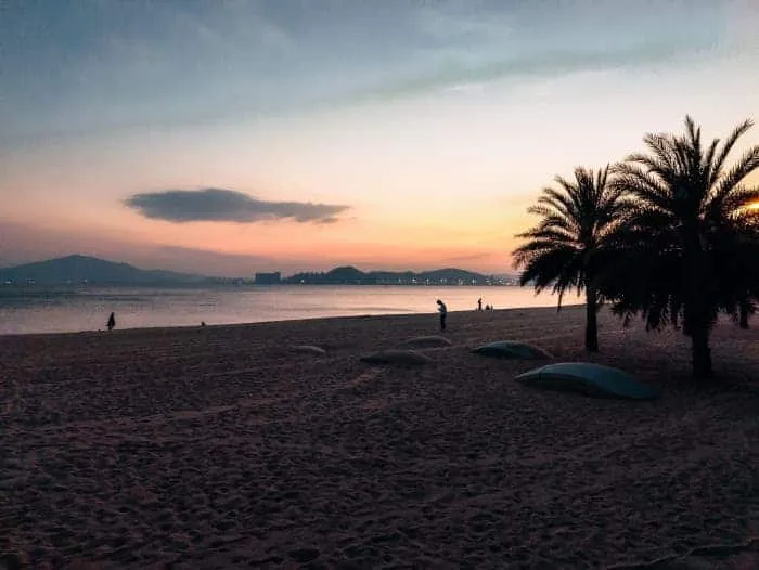 oneplus 10 pro photo 4