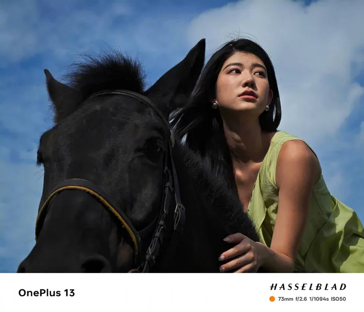 oneplus 13 telephoto sample 2