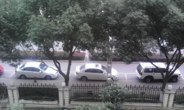 photo sample 2