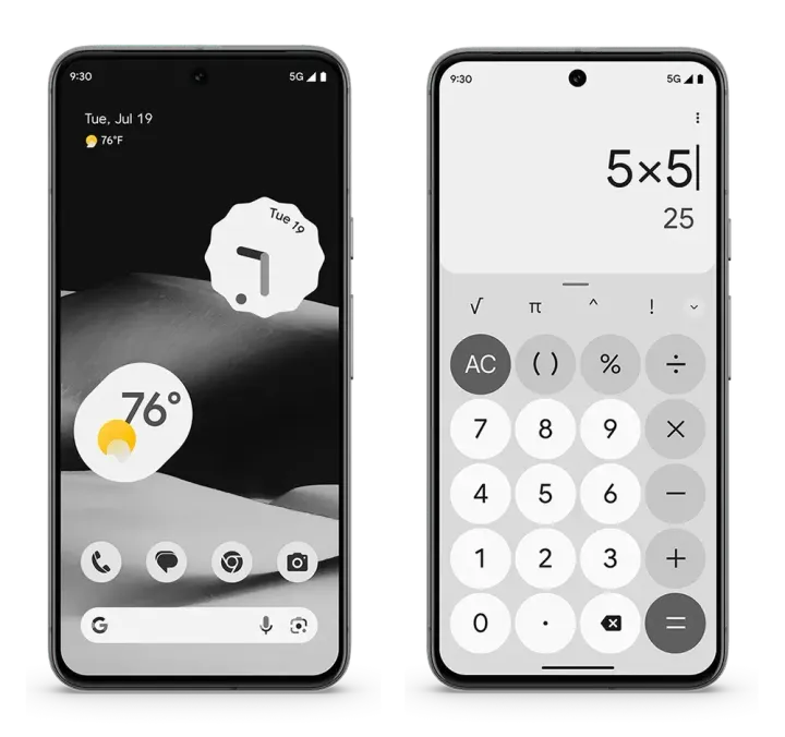 pixel 8 monochrome side by side width 1000format webp