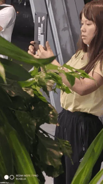 realme pad leak 1