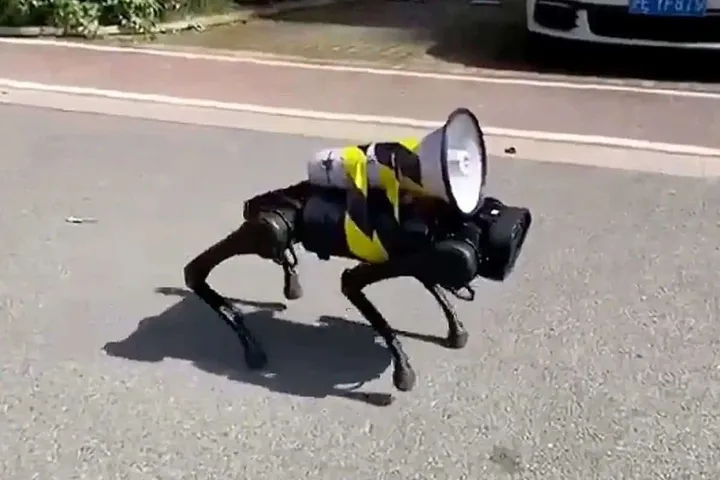 robot dog china