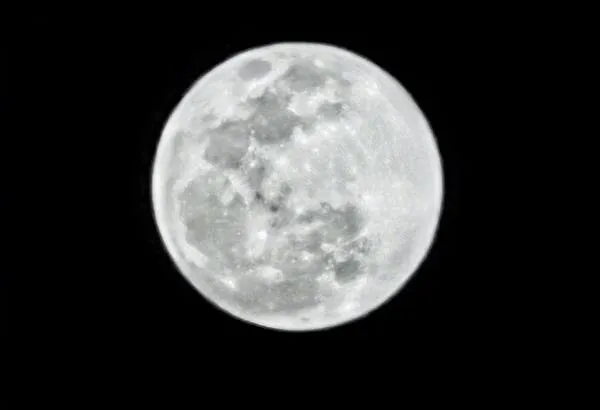 s 7ae9d400957f48c287c36df406f0e419