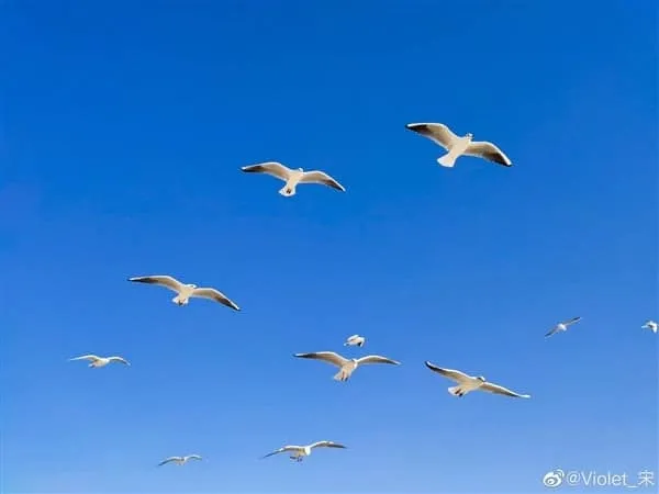 s ba561bfb4935499797293abb7b8d7488