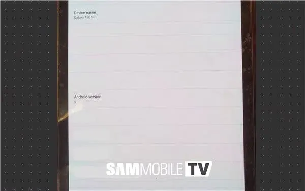 samsung galaxy tab s6 d
