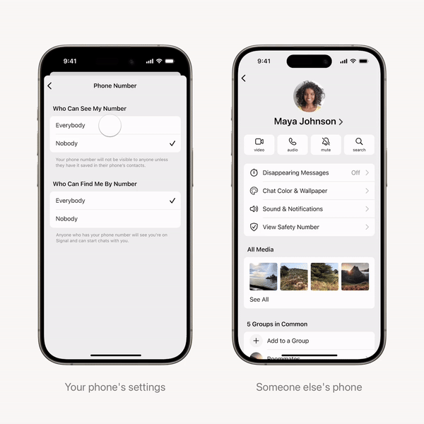 signal rolls out username