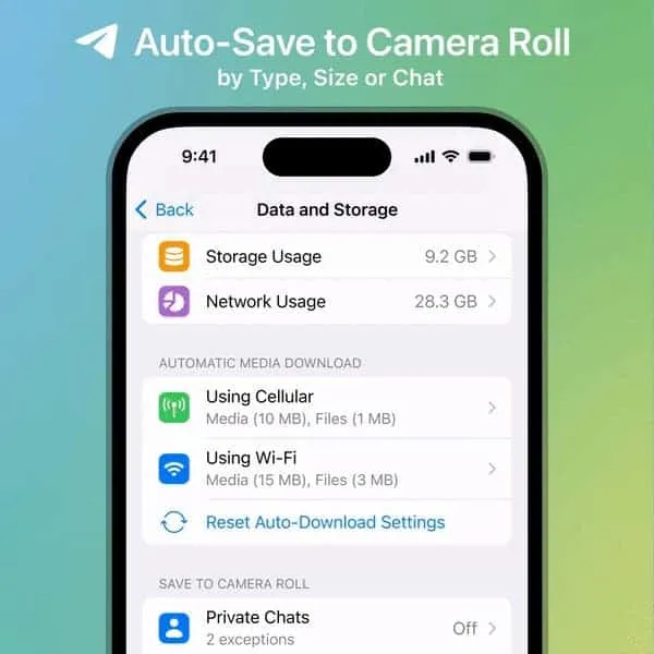 telegram auto save incoming medi