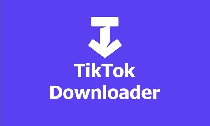 tiktok video downloader