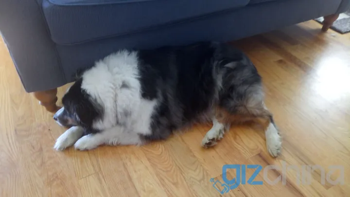 vernee mars review 17