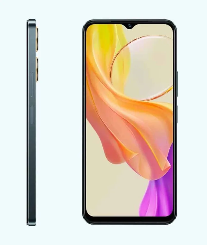 vivo 12
