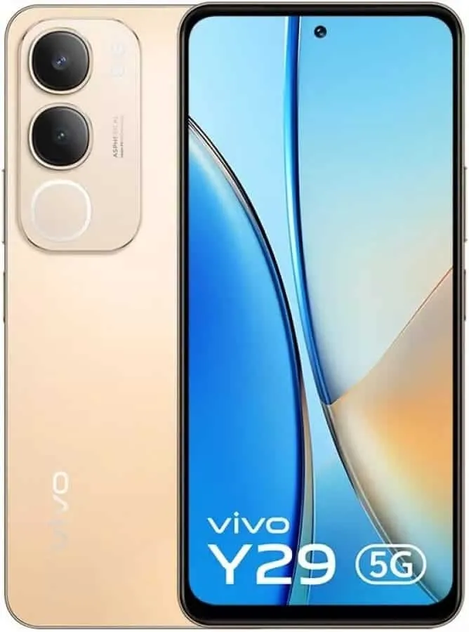 vivo 19