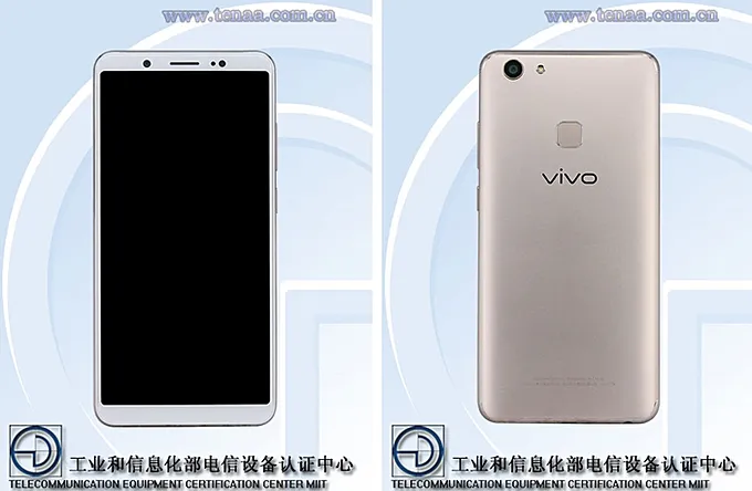 vivo