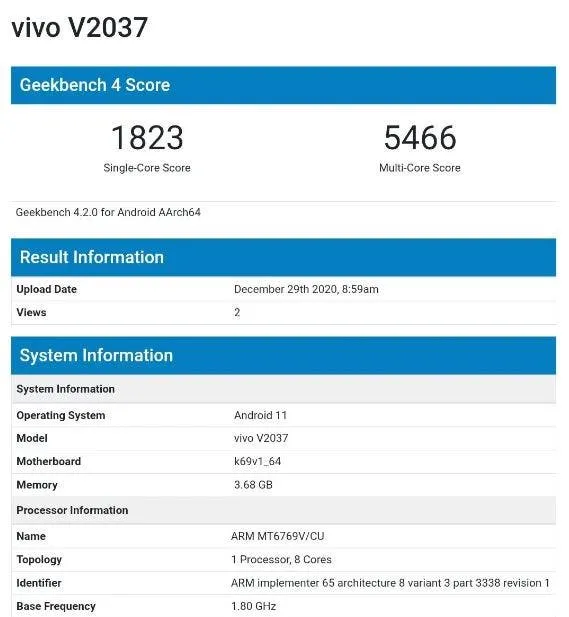 vivo