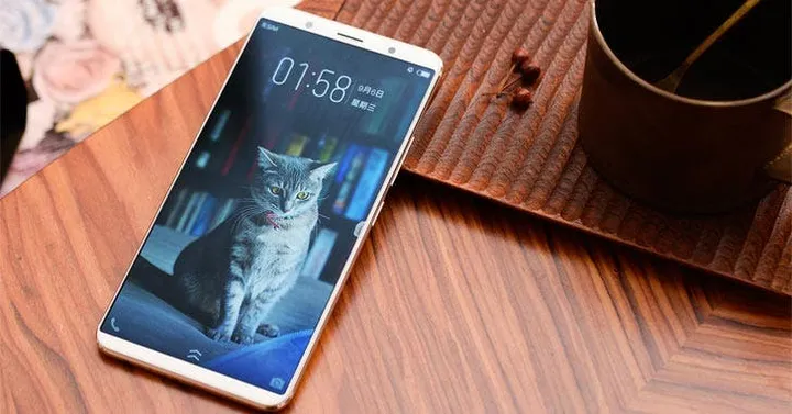vivo x20