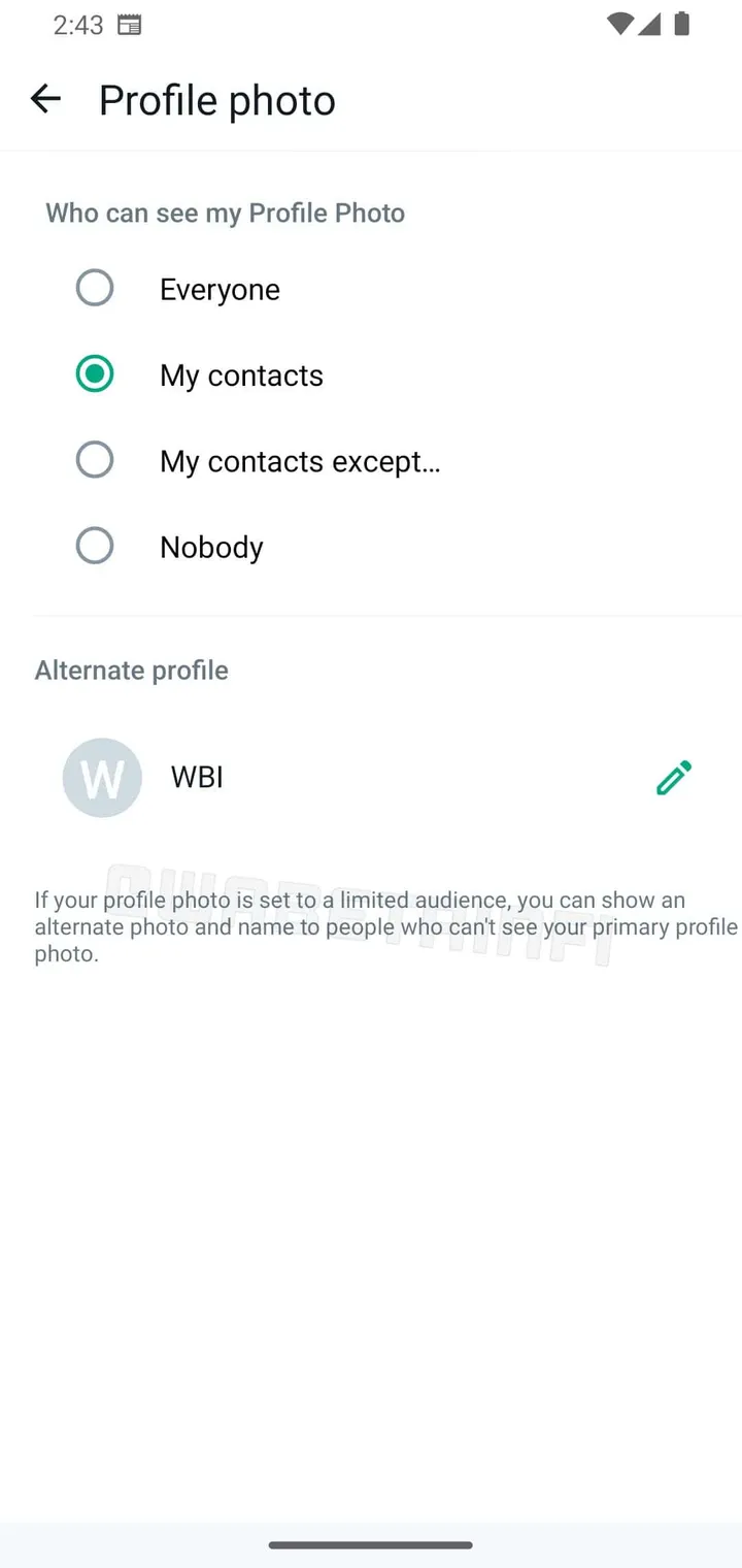 wa alternate profile privacy feature android