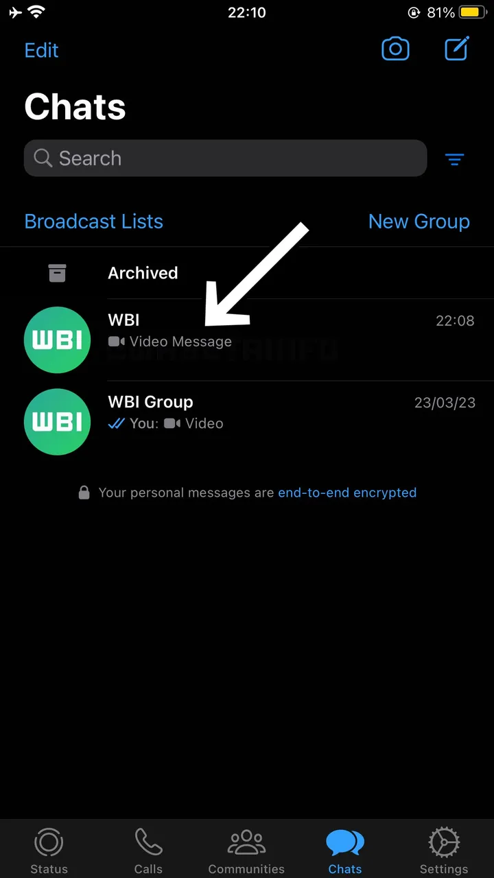 wa video messages preview chat list ios