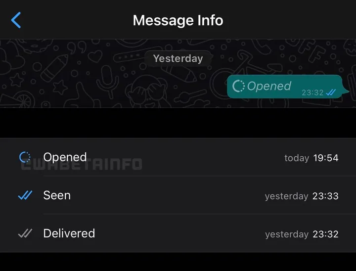wa view once message info ios