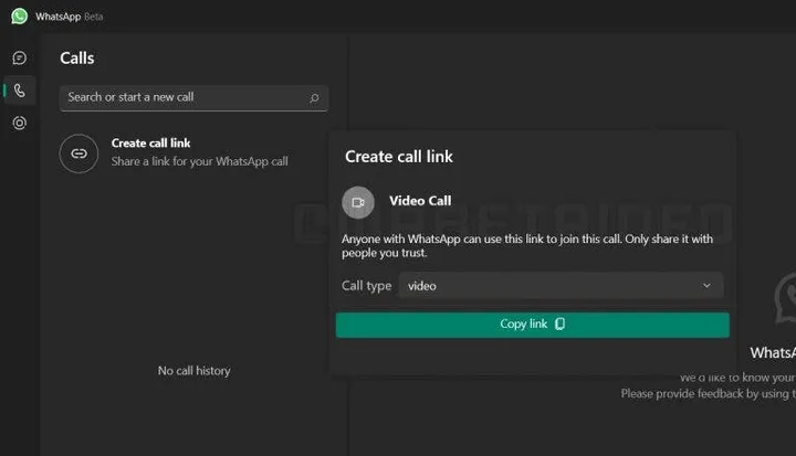 whatsapp call link
