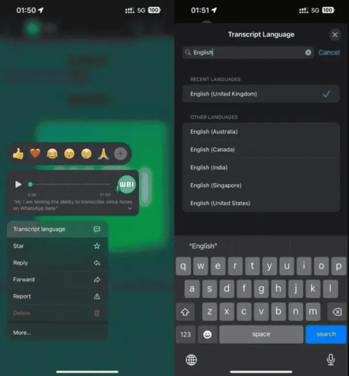 whatsapp voice note feature