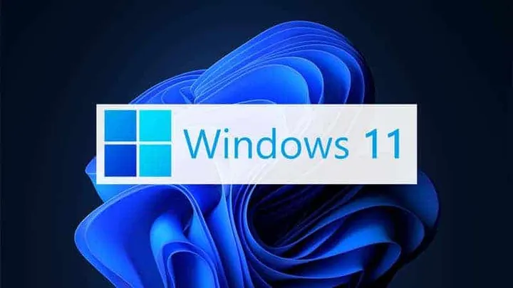 windows 11 1 1 1 1