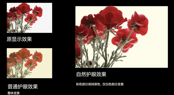 xiaomi 12 series b