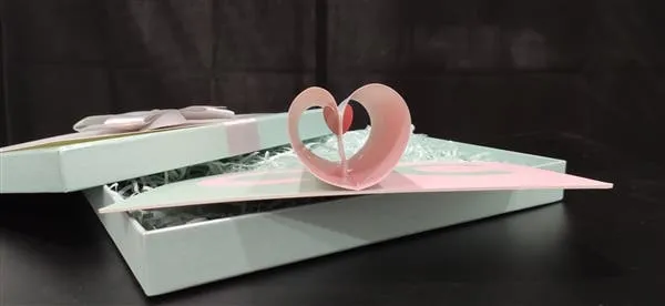 xiaomi cc9 invitation letter c