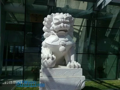 xiaomi m1s 8 mega pixel rear camera test photo 2
