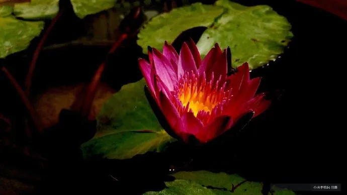 xiaomi mi 5c sample fotografici 4