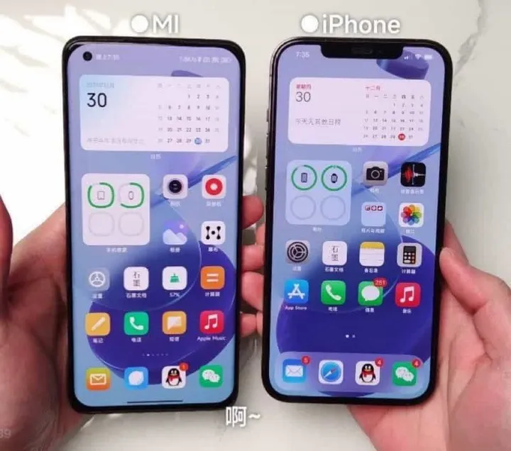 xiaomi vs apple