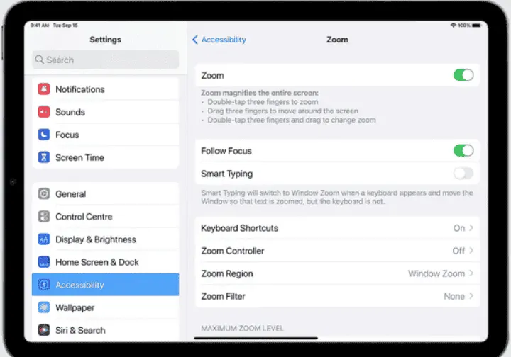 zoom function on ipad