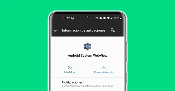 android webview