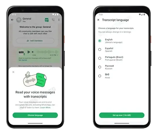 whatsapp transcript2