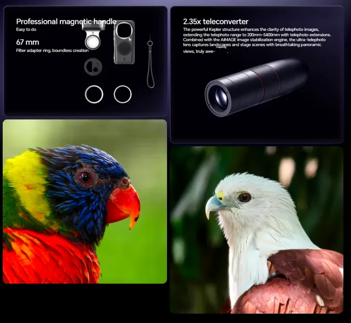 imagem_2026-01-19_221741225