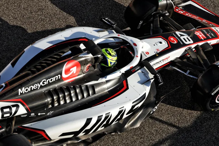 bearman-haas