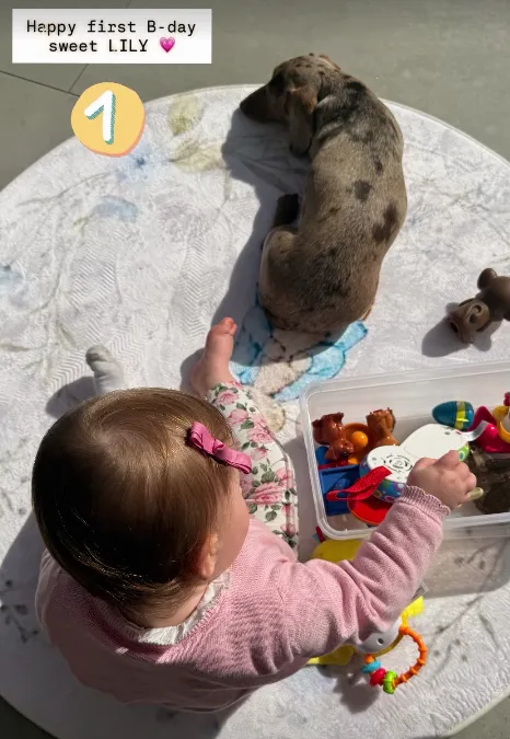 Screenshot 2026-04-25 12.30.54