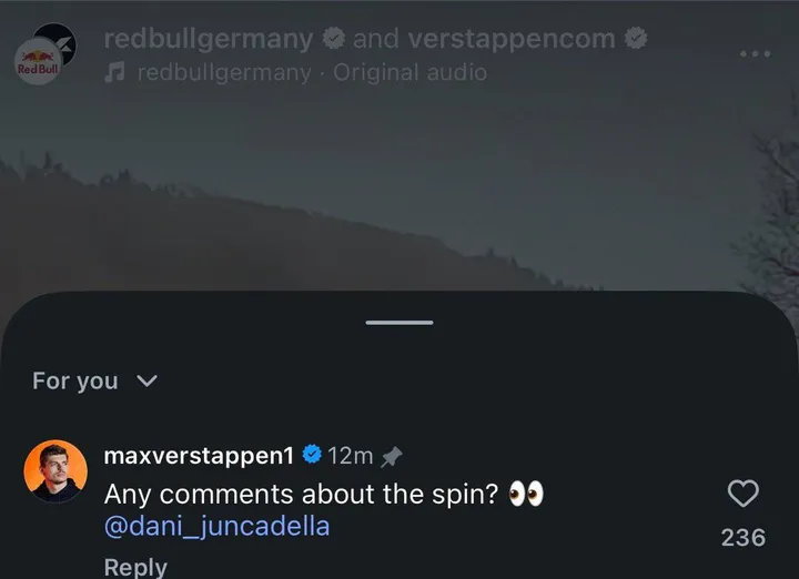 verstappen-spin