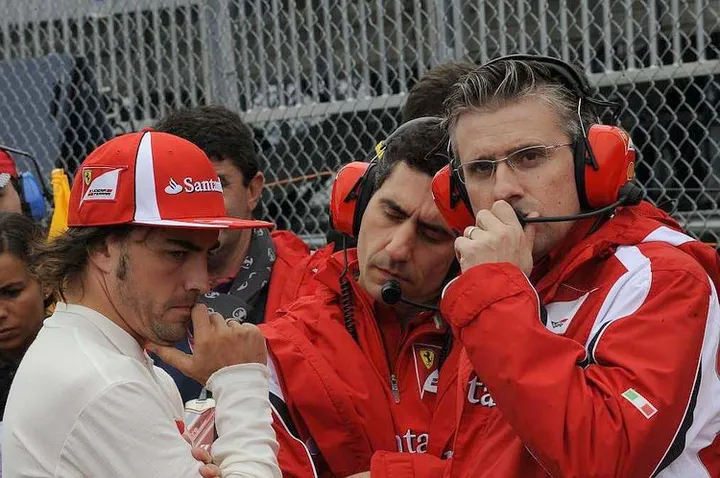 Alonso Fry Stella