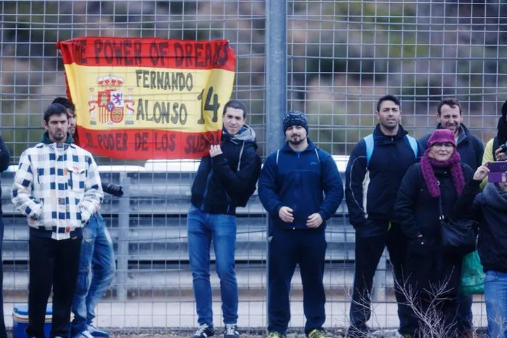 Fernando Alonso Fans
