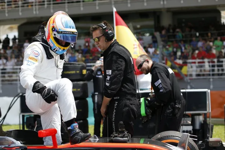 Fernando Alonso on the grid.