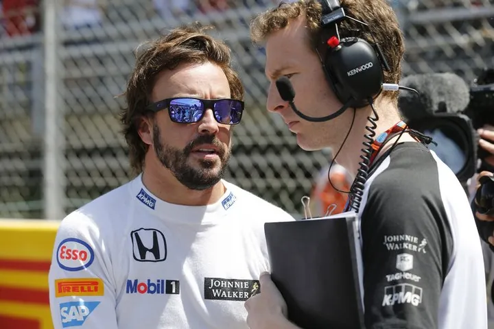 Fernando Alonso on the grid.