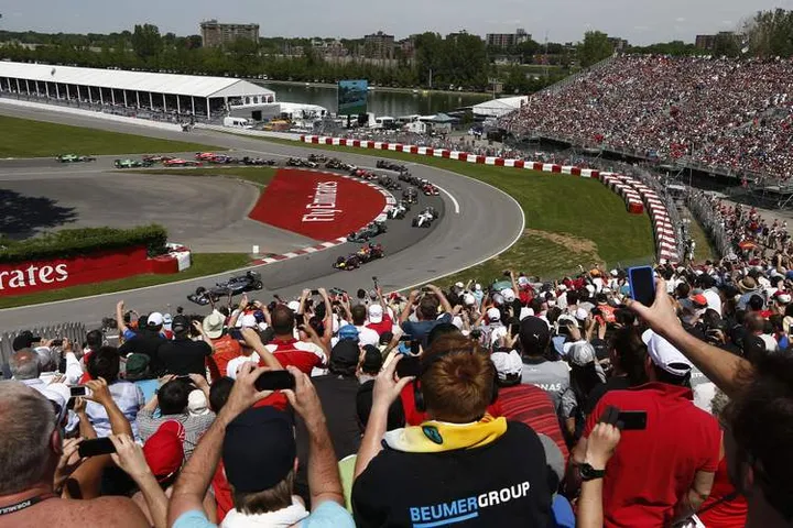 Formula 1 fans